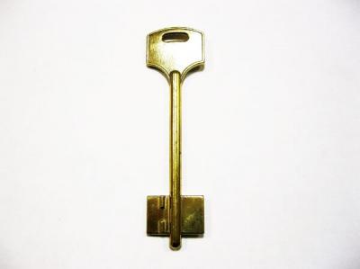Заготовка для ключа ЭЛЬБОР-1 (13) флажковая